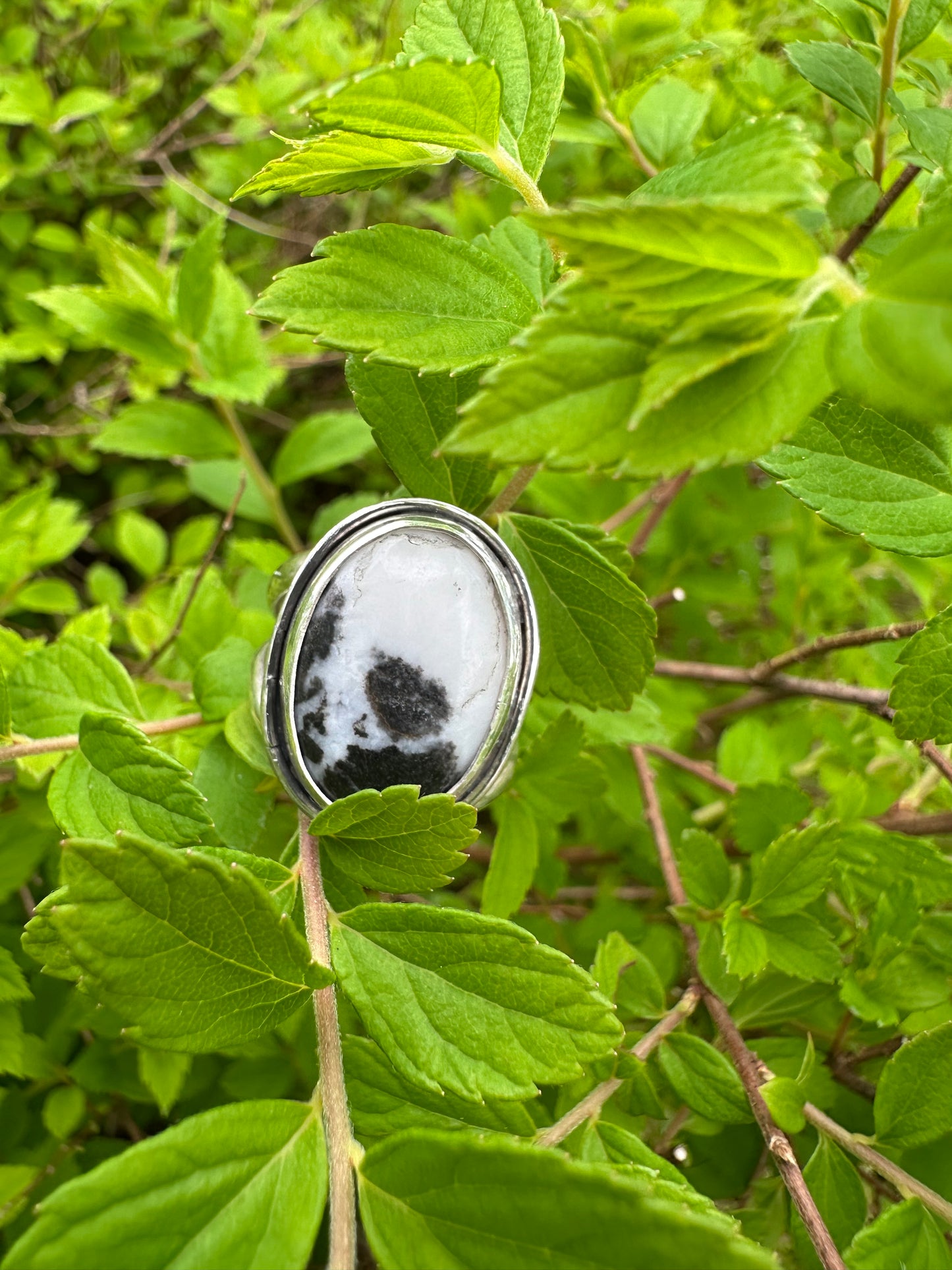 Harmony Rings