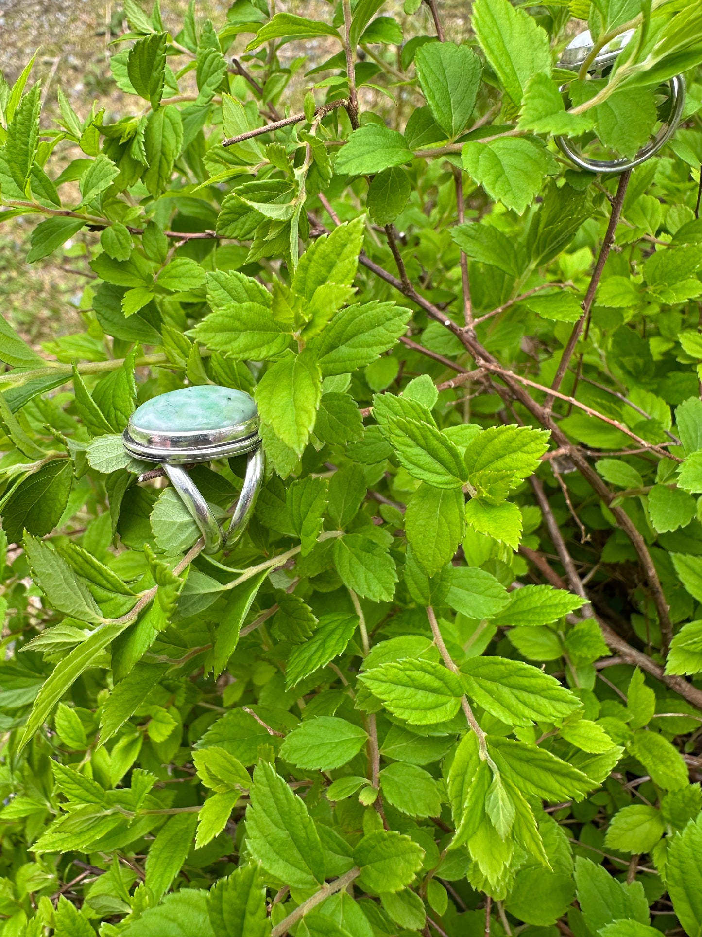 Harmony Rings