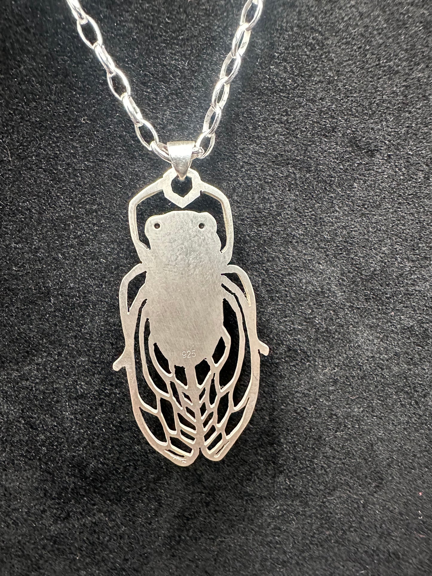Periodical Cicada