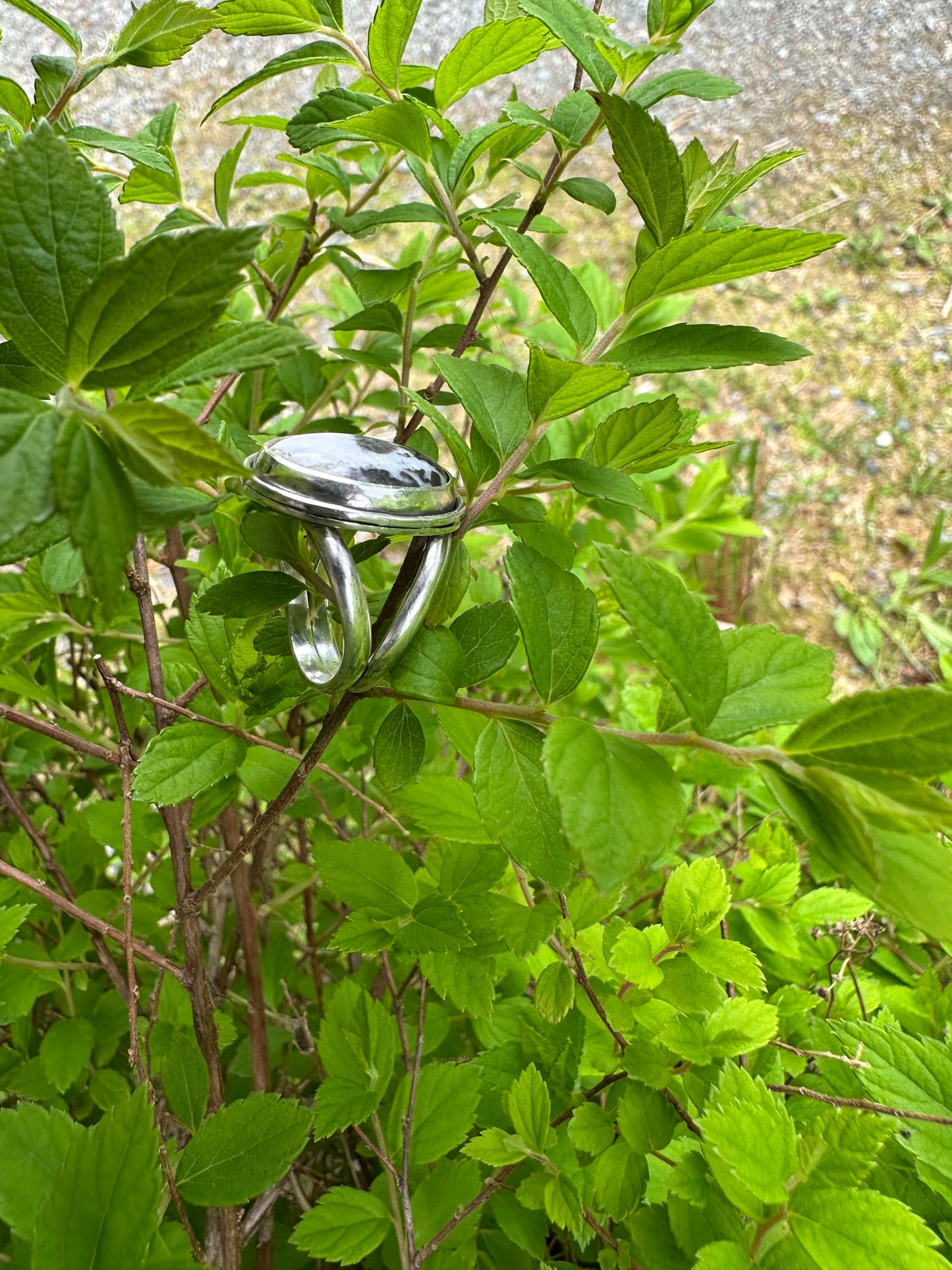 Harmony Rings