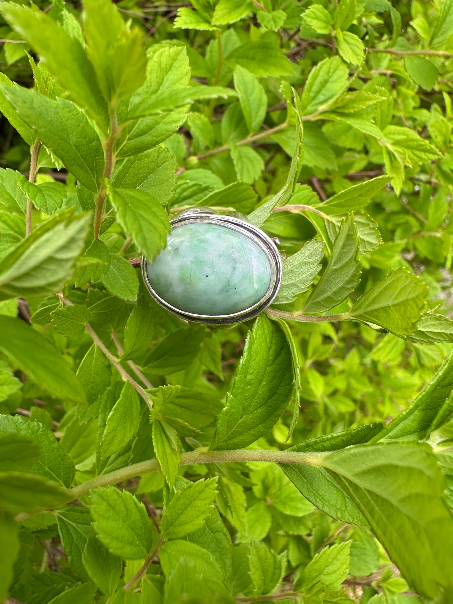 Harmony Rings