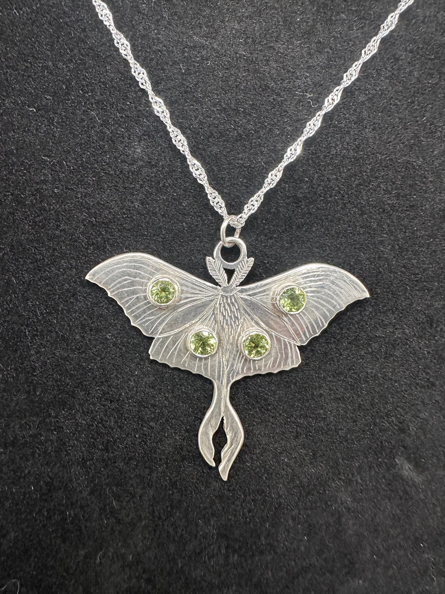 Luna Moth
